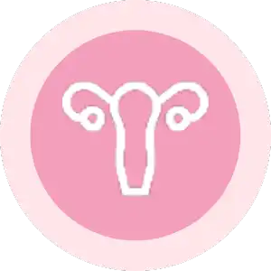 disfuncoes-pink disfuncoes-pink